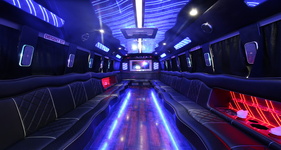 Little York NY party bus for 3 to 20 passengers, fun for nightlife and celebrations